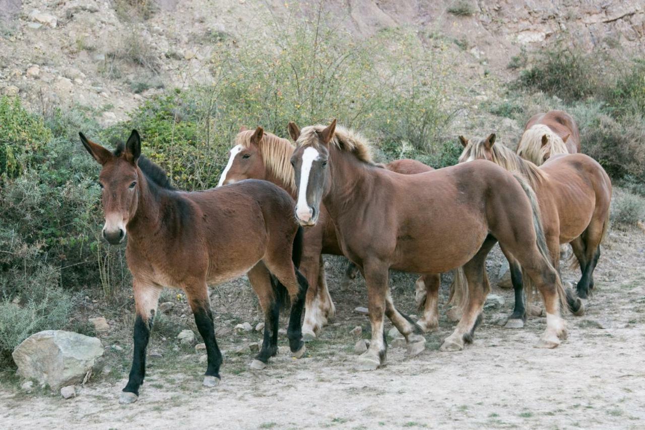 La Posada De Ajamil Bagian luar foto